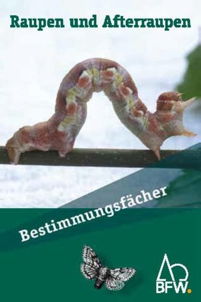 Raupen und Afterraupen: Bestimmungsfächer Garden & Plants