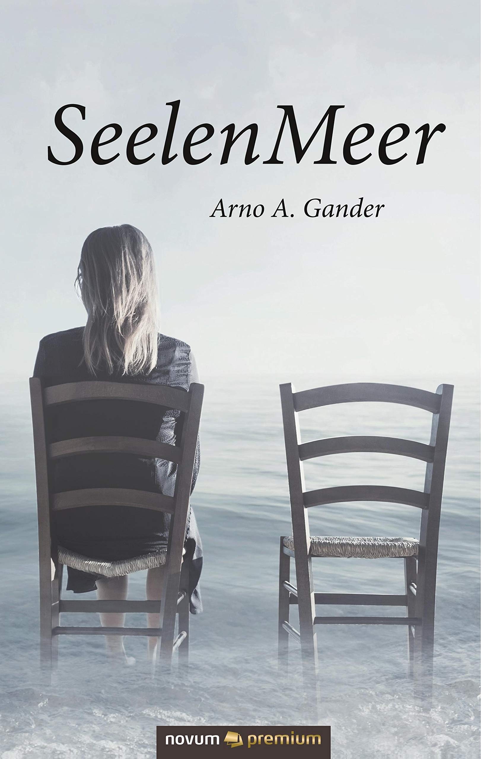 SeelenMeer Contemporary literature Books