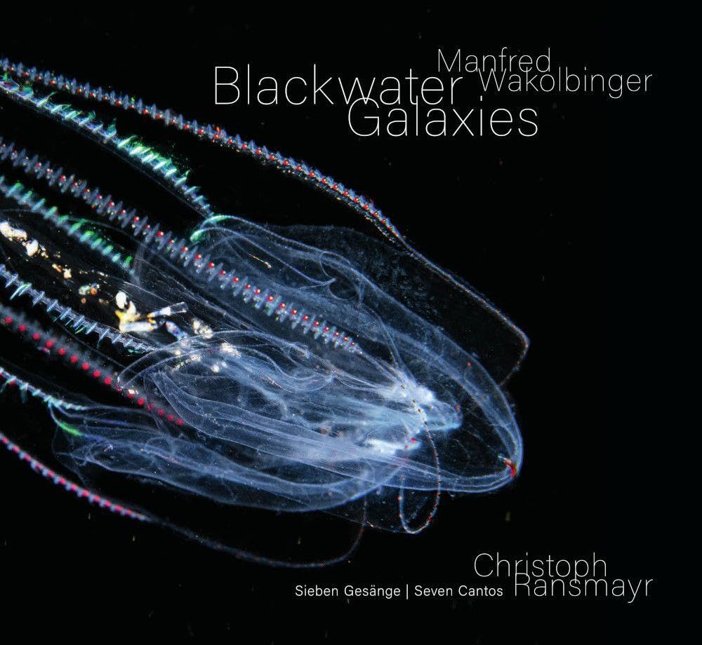 Manfred Wakolbinger - Blackwater Galaxies Poetry