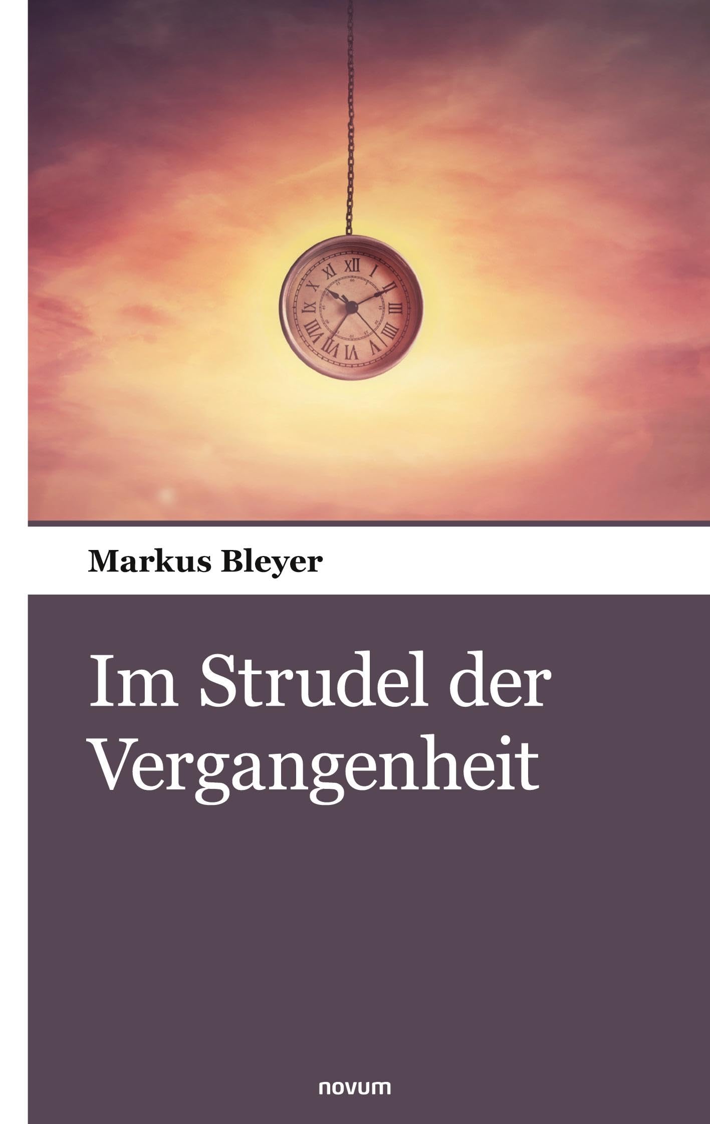 Im Strudel der Vergangenheit Contemporary literature