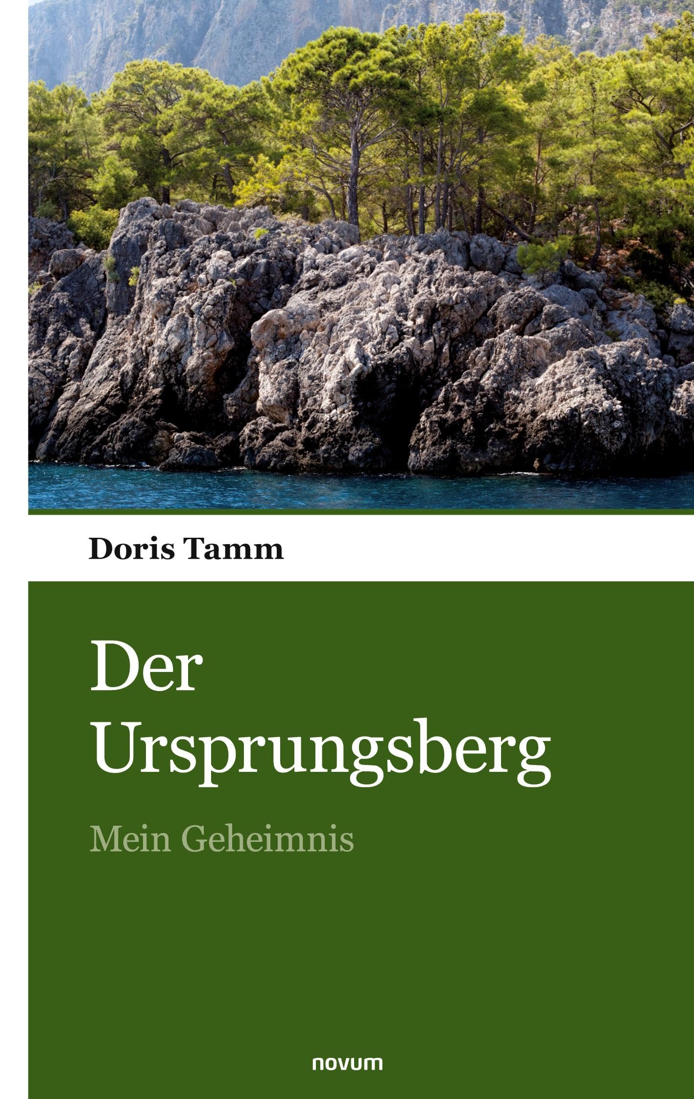 Der Ursprungsberg: Mein Geheimnis Contemporary literature