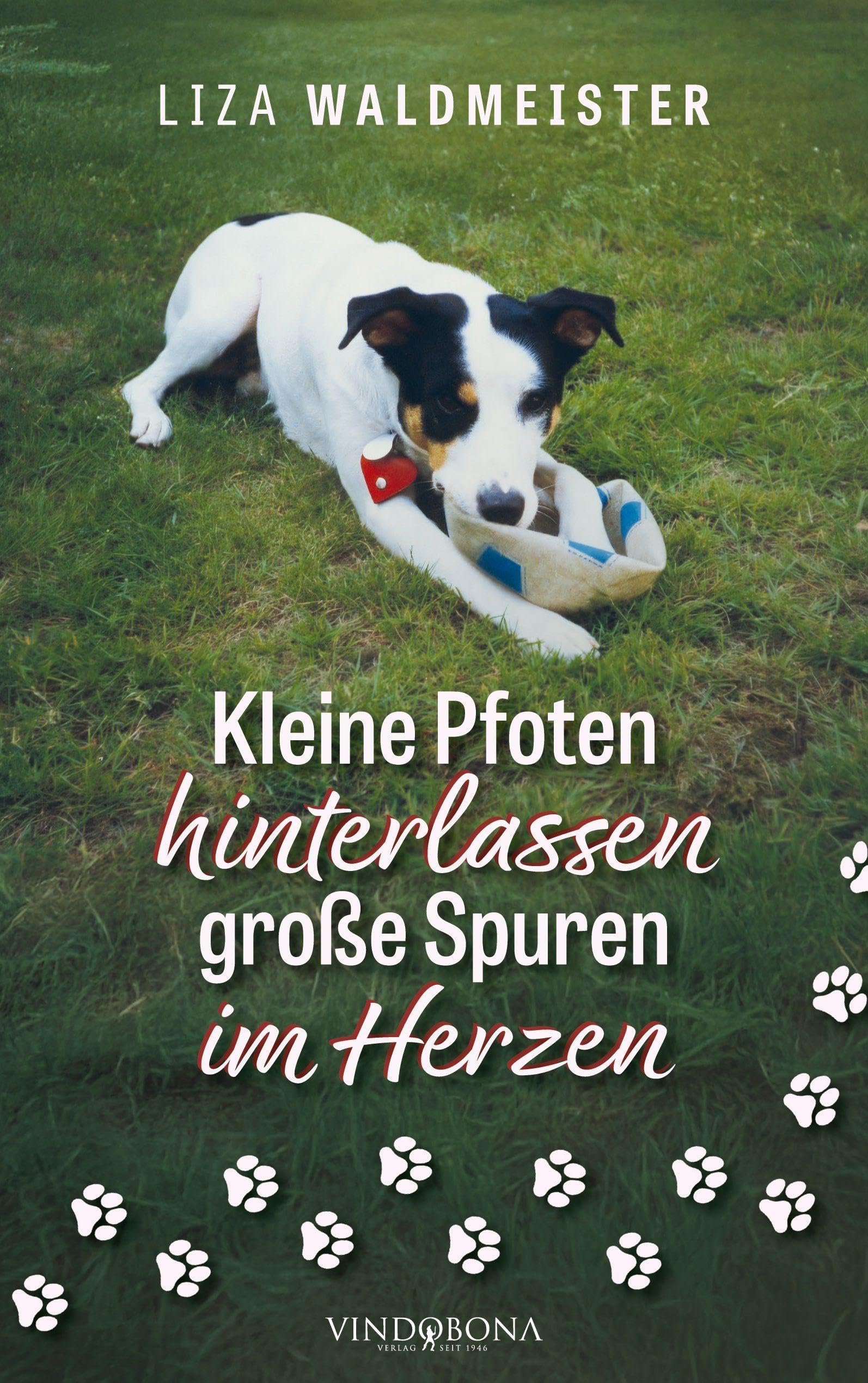 Kleine Pfoten hinterlassen große Spuren im Herzen Contemporary literature