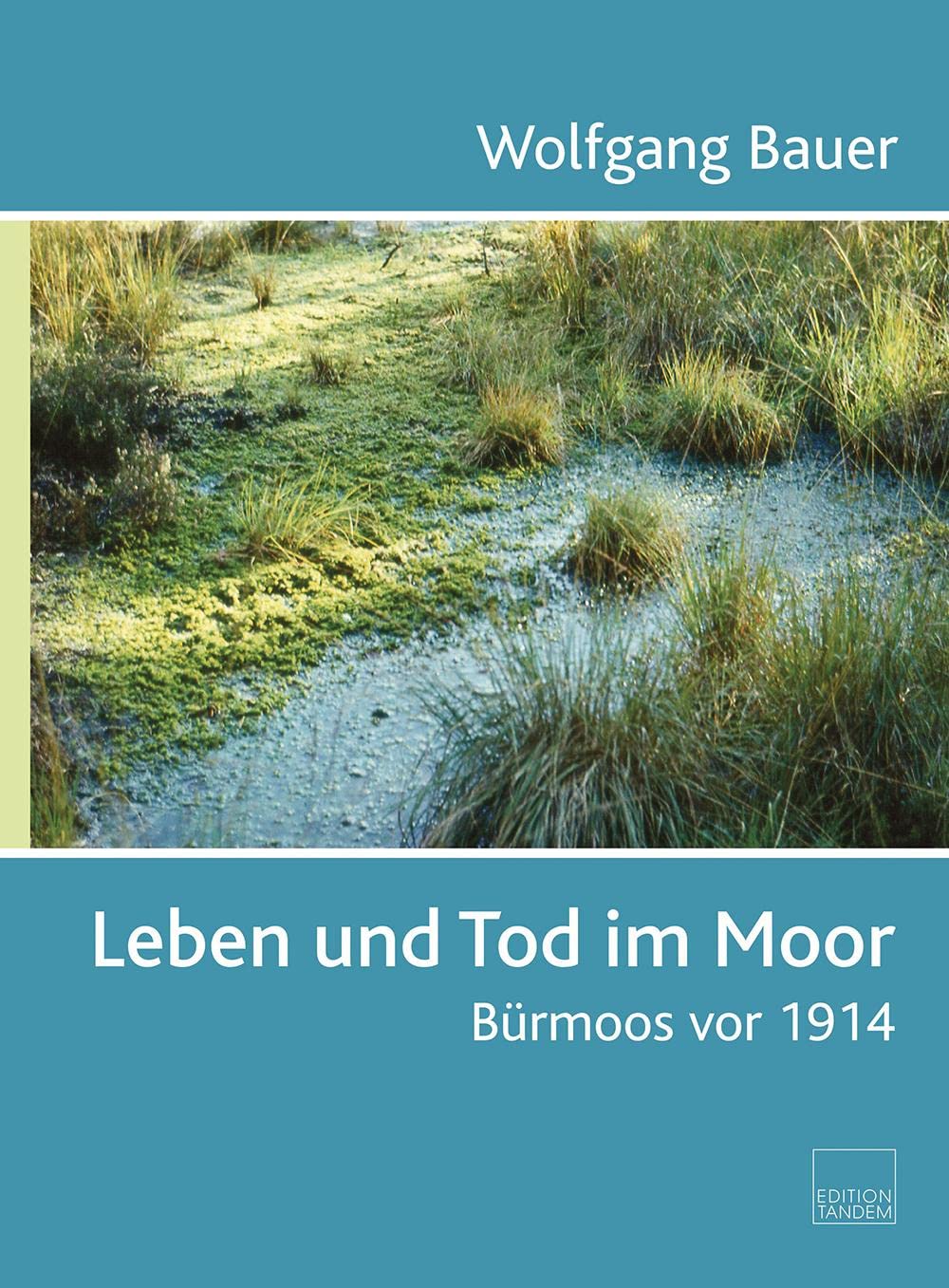 Leben und Tod im Moor: Bürmoos vor 1914 Politics & History