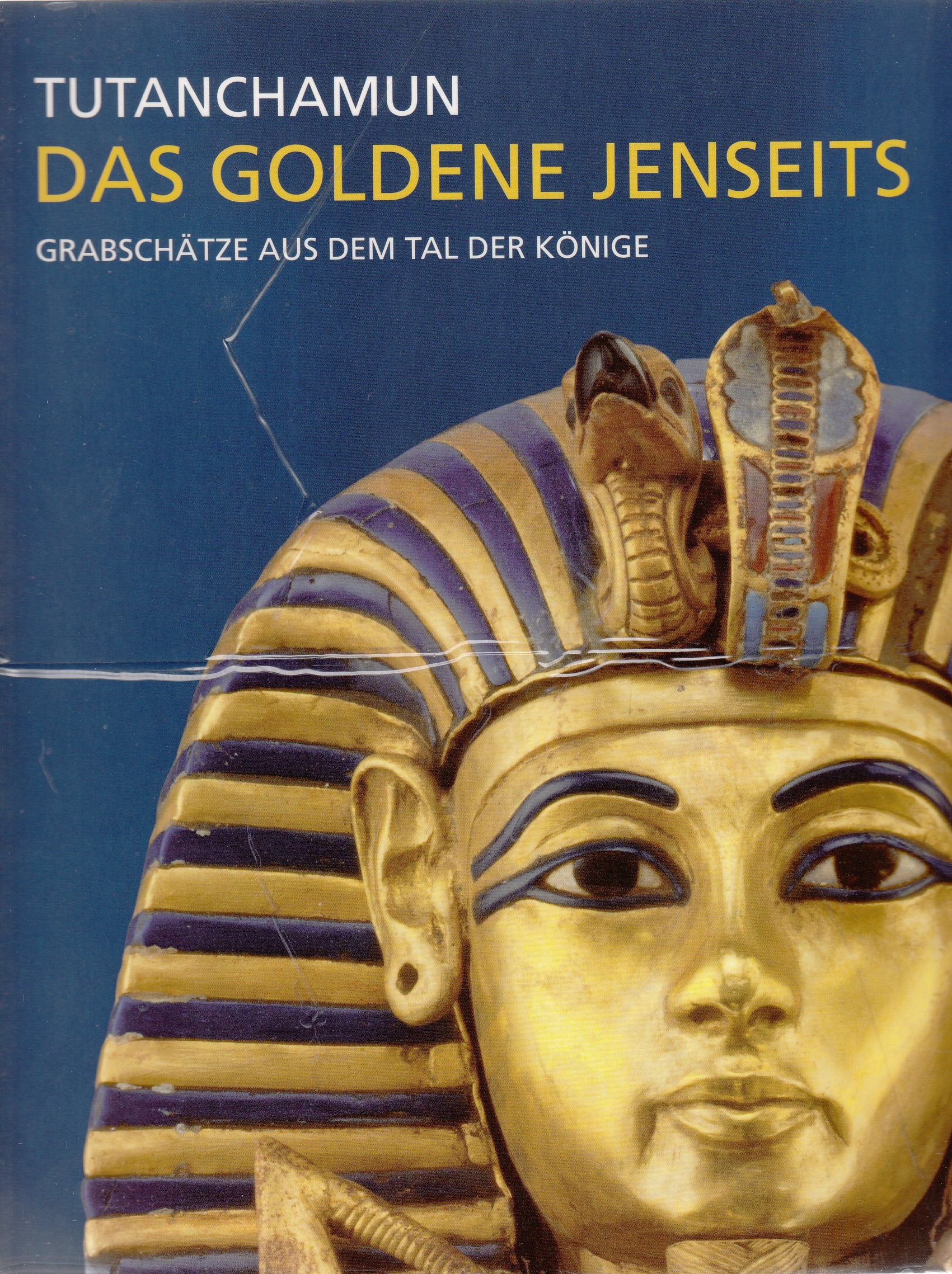 Tutanchamun - Das goldene Jenseits. Grabschätze aus dem Tal der Könige Books