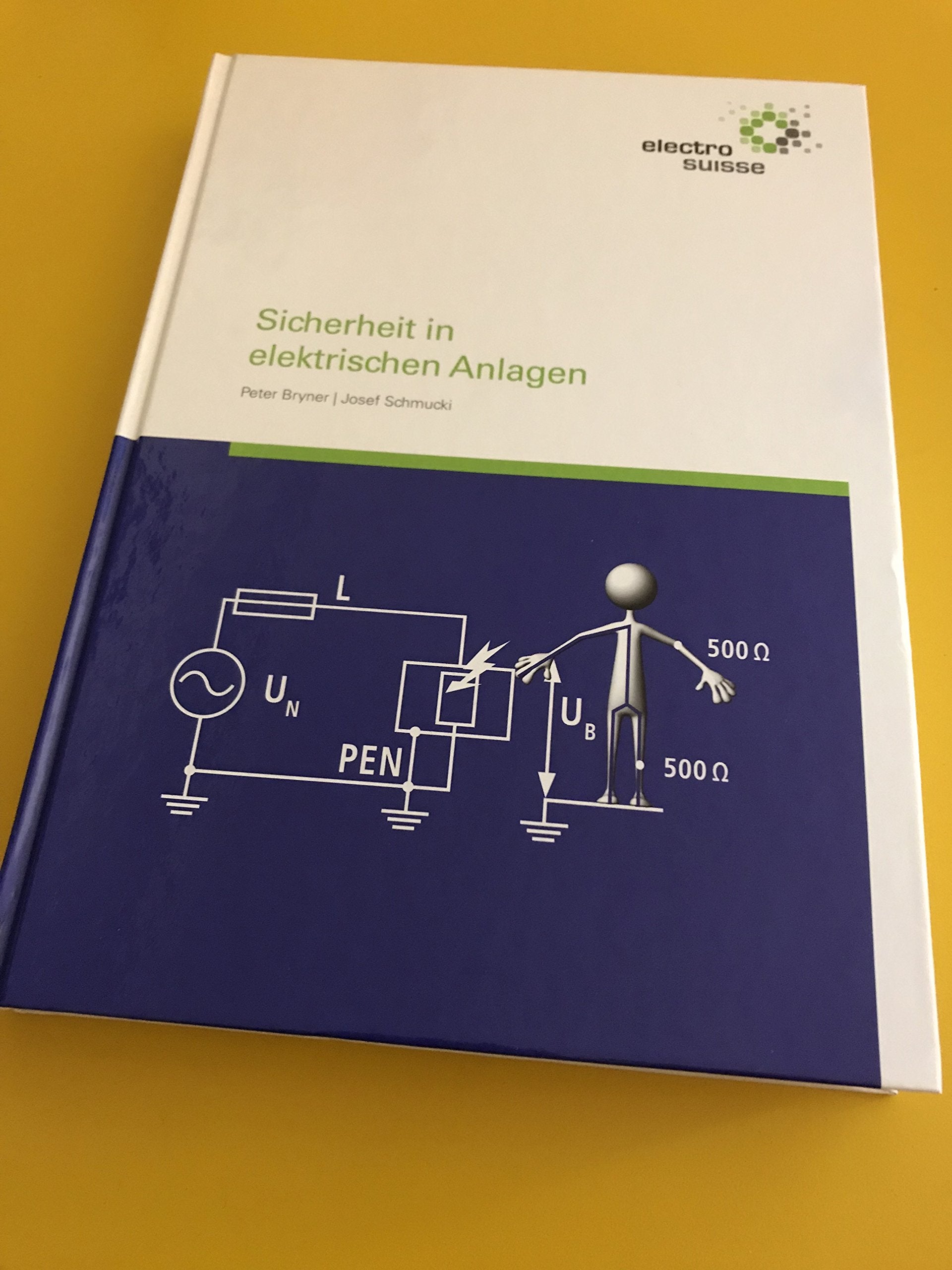 Sicherheit in elektrischen Anlagen Books
