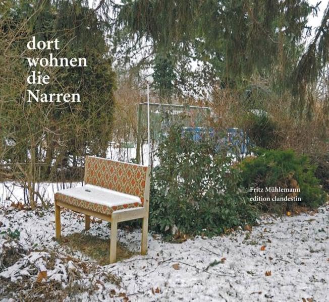 Dort wohnen die Narren: Text-Bild-Poem, dreiteiliger Zyklus Film, Art & Culture