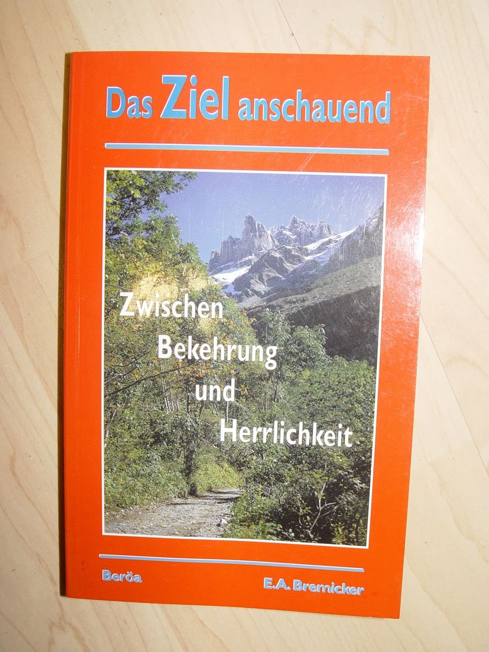 Zwischen Bekehrung und Herrlichkeit - das Ziel anschauend Books