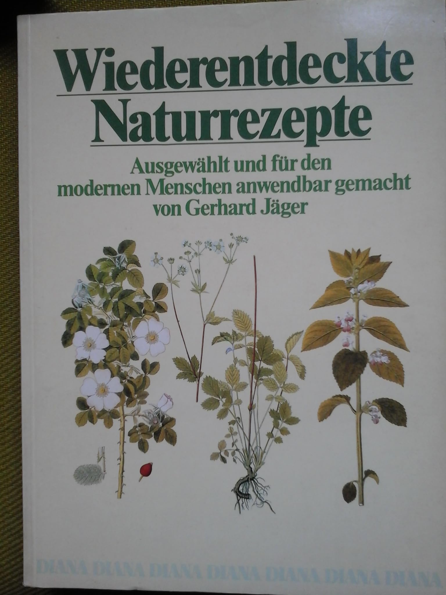 Wiederentdeckte Naturrezepte. Ausgewählt und für den modernen Menschen anwendbar gemacht Medicine