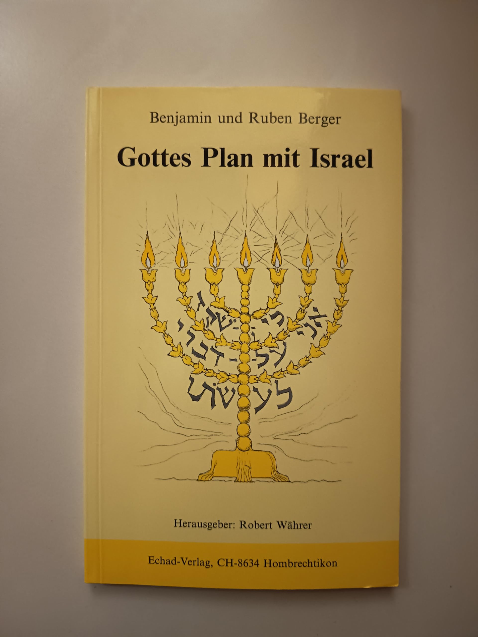 Gottes Plan mit Israel Professional & Reference Books