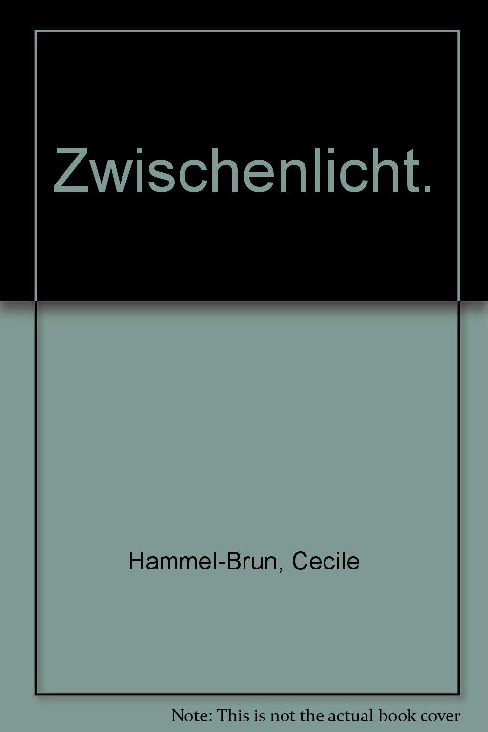 Zwischenlicht: Was nicht endet, mündet in den Kreis, was endet, auch . . .. Roman Fiction