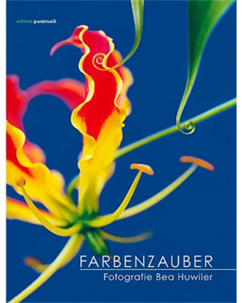 Farbenzauber: Fotografie Film, Art & Culture