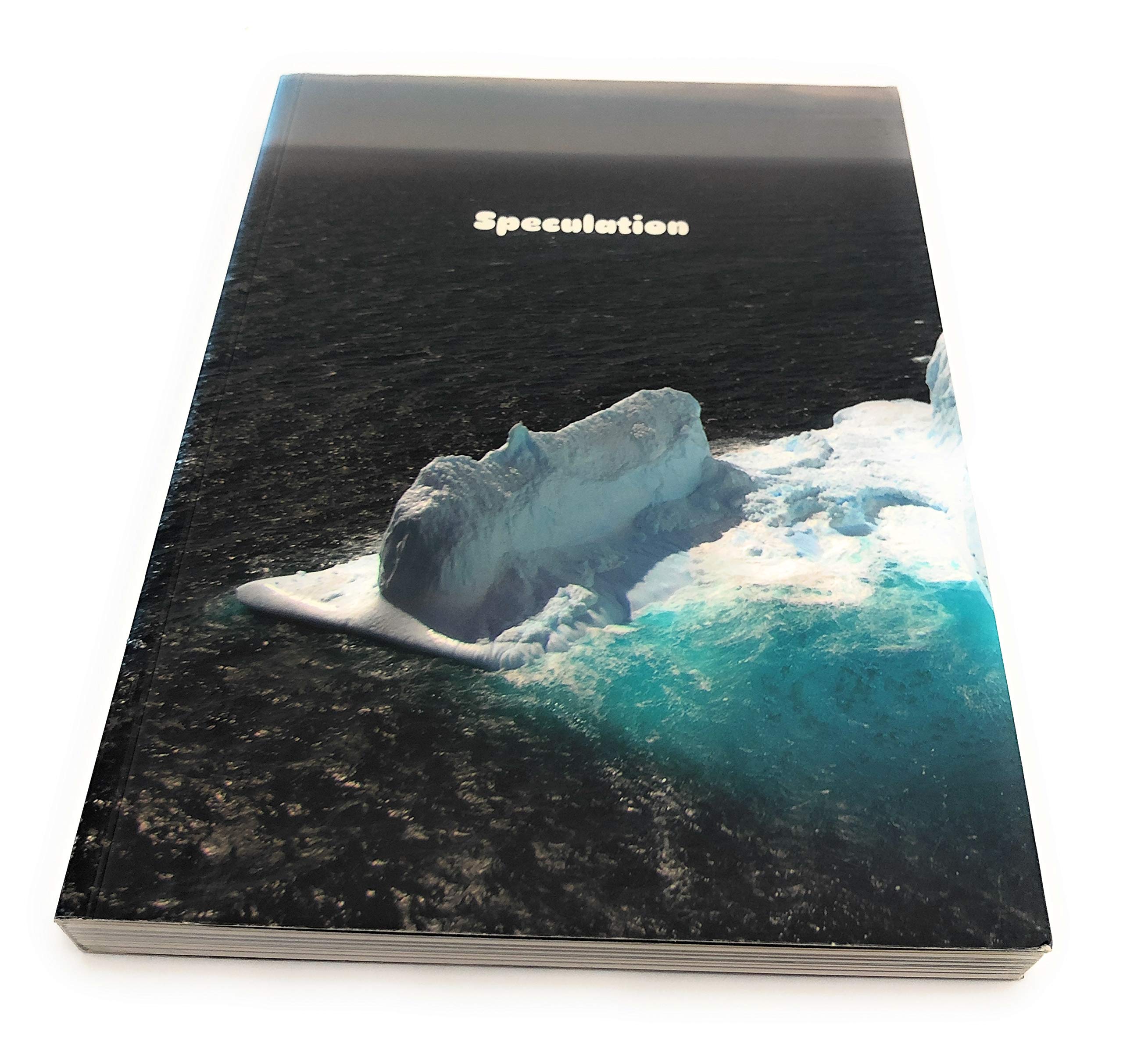 Speculation: New Zealand's Project for the 52nd Venice Biennale: New Zealand Venice Project 2007 Film, Art & Culture