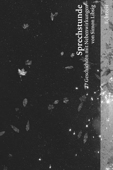 Sprechstunde: 17 Geschichten mit Nebenwirkungen inkl. CD Essays & Short Stories