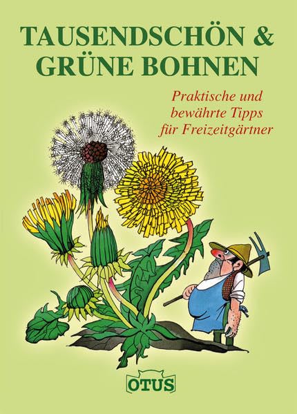 Tausendschön und grüne Bohnen Garden & Plants