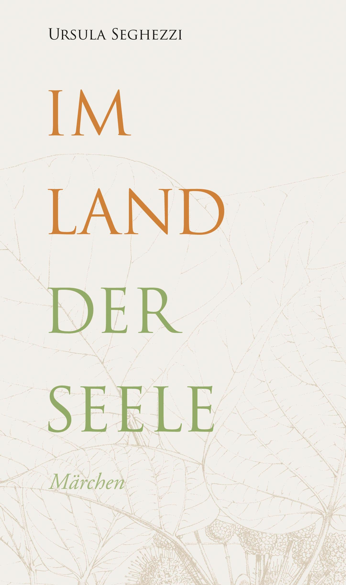 Im Land der Seele book