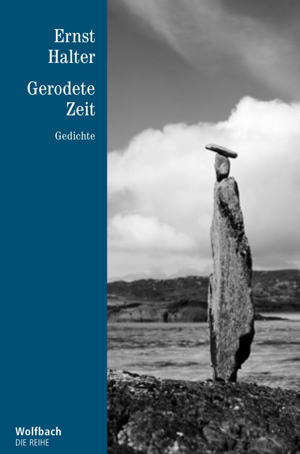 Gerodete Zeiten book