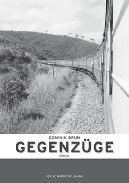 Gegenzüge: Roman Contemporary literature