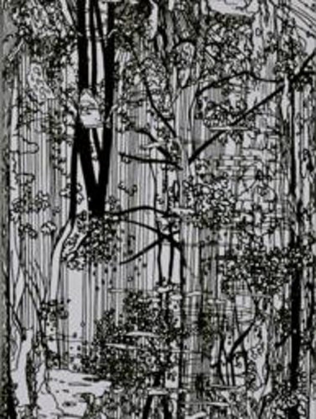 Bücherwald: Published on Occasion of the 100 Year Anniversary of the Zentralbibliothek Zürich Film, Art & Culture