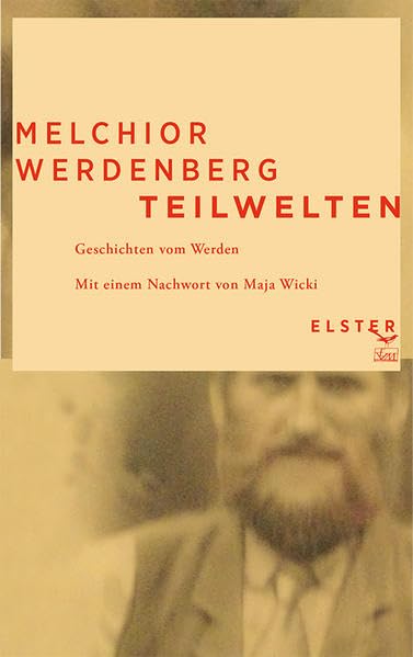 Teilwelten: Geschichten vom Werden Contemporary literature