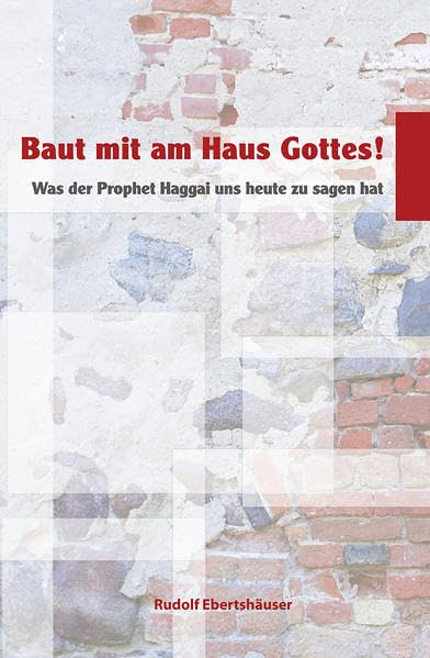 Baut mit am Haus Gottes!: Was der Prophet Haggai uns heute zu sagen hat - Ebertshäuser, Rudolf book