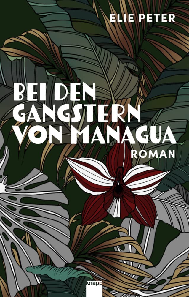 Bei den Gangstern von Managua Contemporary literature
