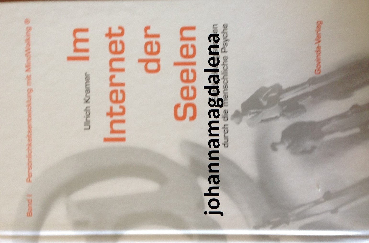 Im Internet der Seelen. Entdeckungsreisen durch die menschliche Psyche Religion & Esotericism