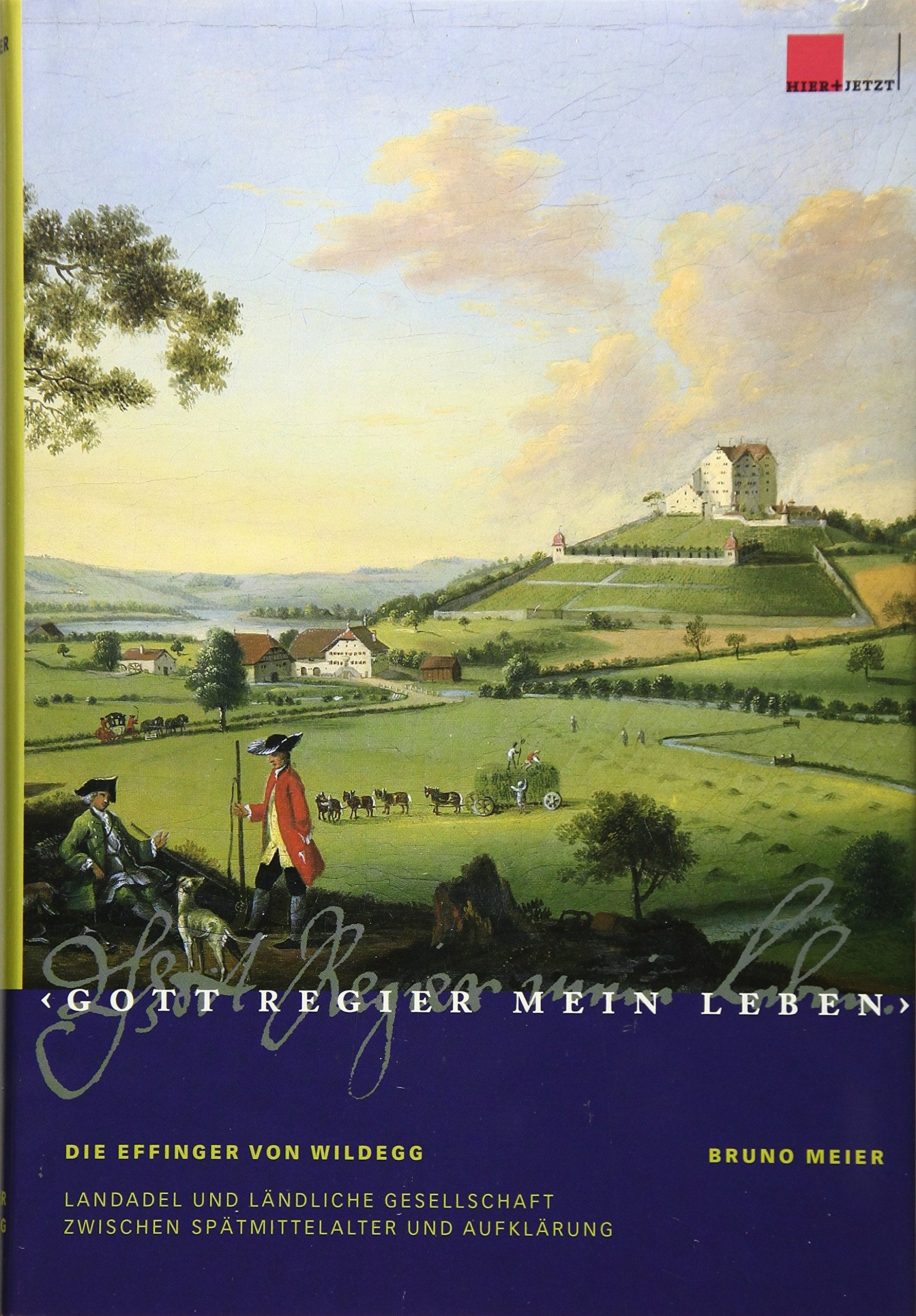 Gott regier mein Leben: Die Effinger von Wildegg, Landadel und ländliche Gesellschaft zwischen Spätmittelalter und Aufklärung Politics & History