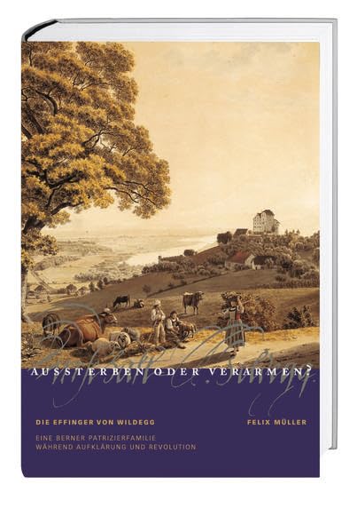 Aussterben oder verarmen?: Die Effinger von Wildegg. Eine Berner Patrizierfamilie während Aufklärung und Revolution Politics & History