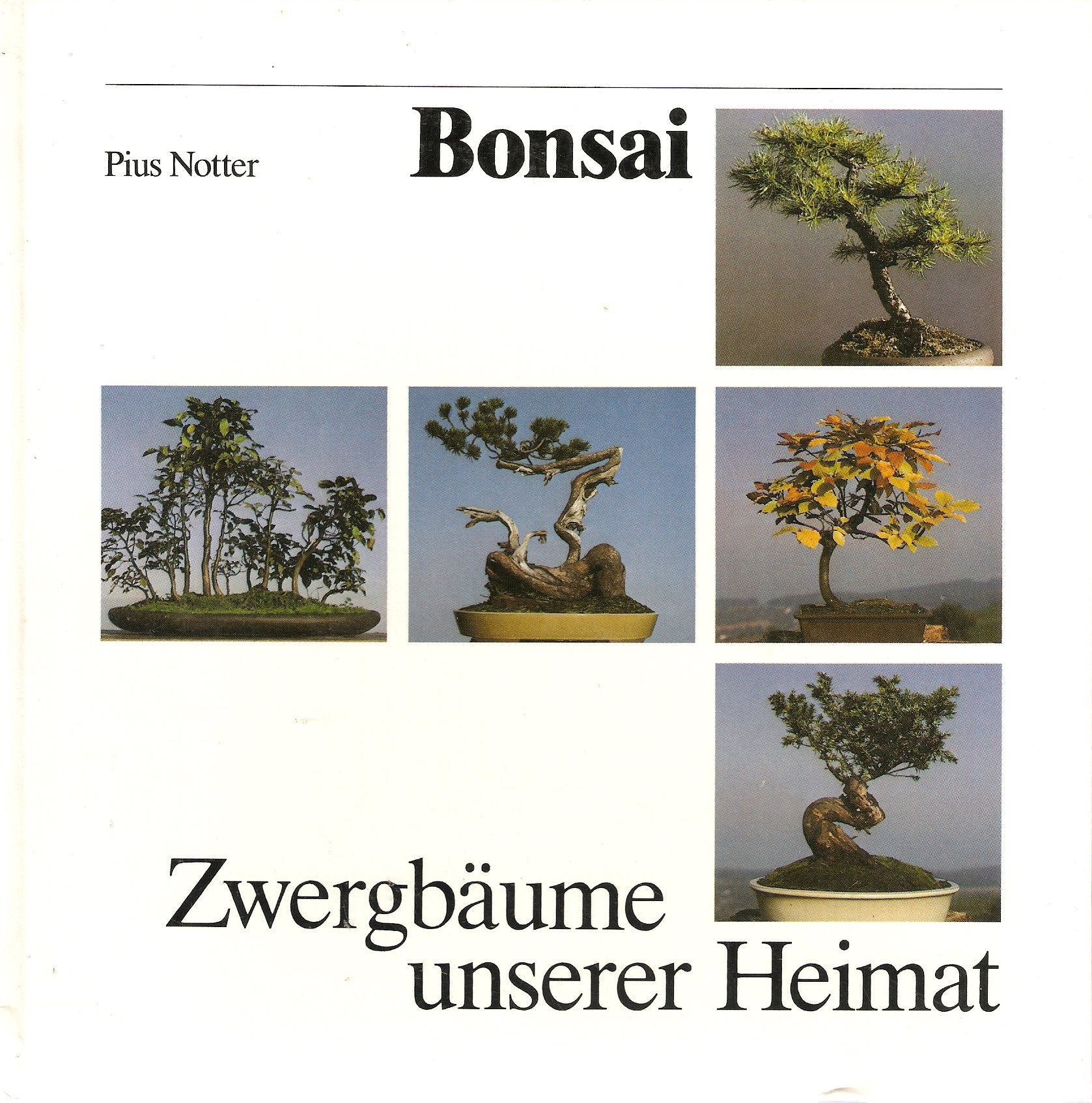 Bonsai. Zwergbäume unserer Heimat Books
