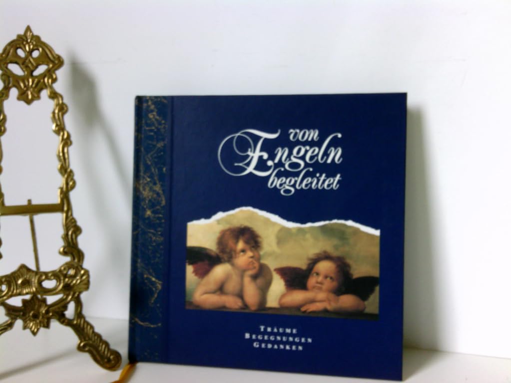 Von Engeln begleitet: Träume, Begegnungen, Gedanken Books