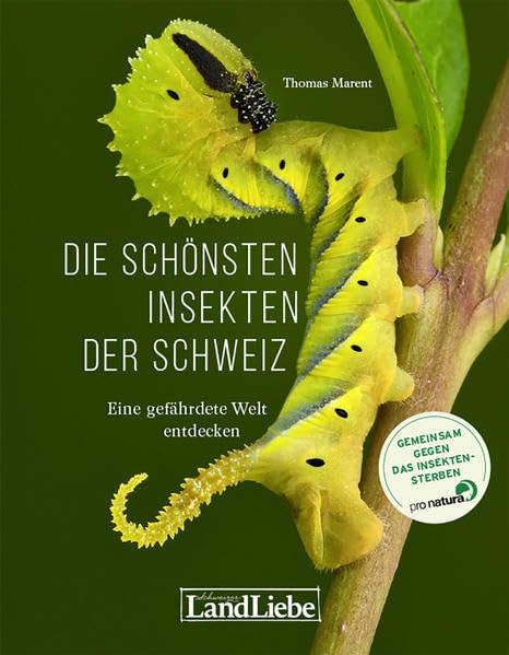 Die schönsten Insekten der Schweiz: Eine gefährdete Welt entdecken Leisure, Home & Garden