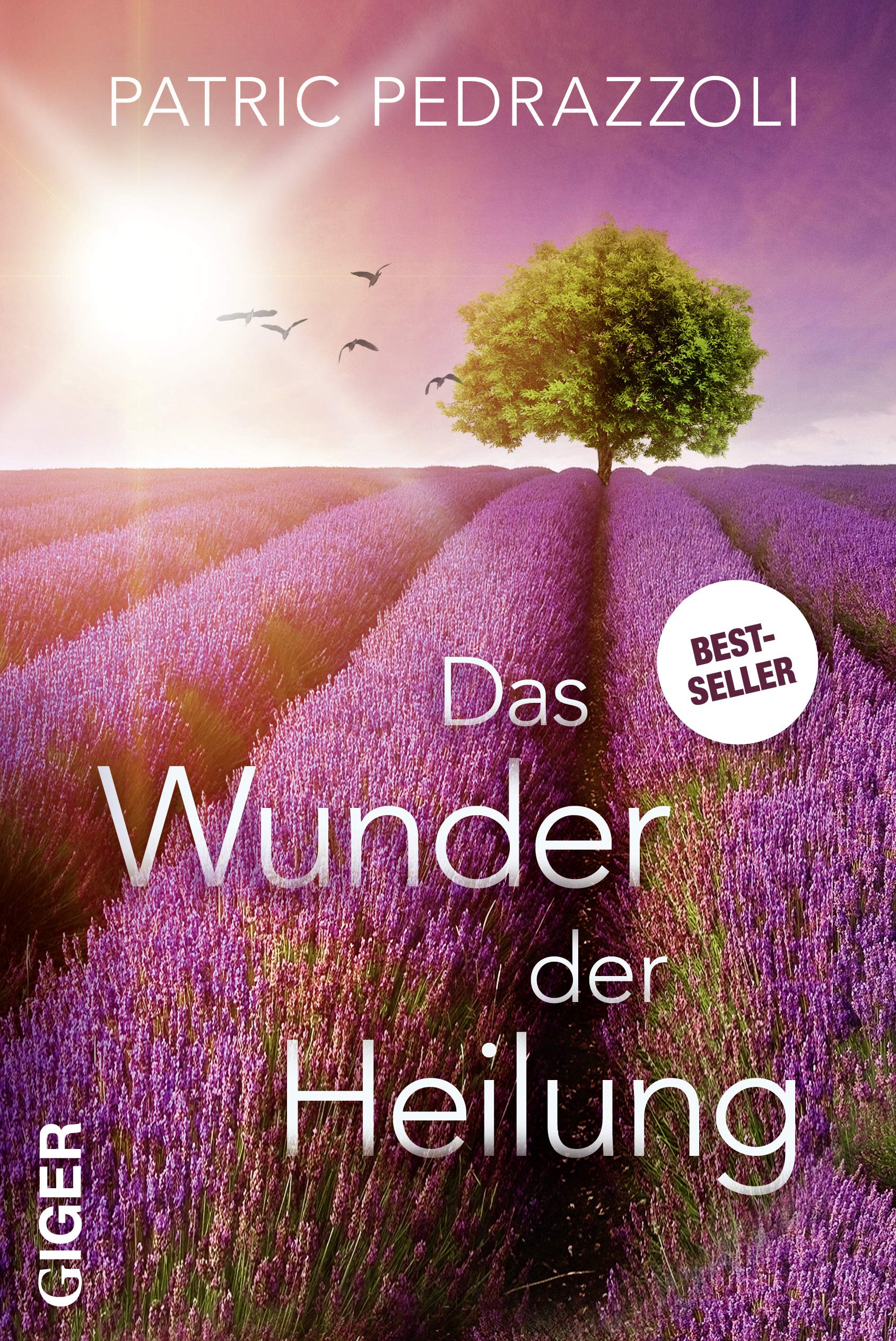 Product Image: Das Wunder der Heilung
