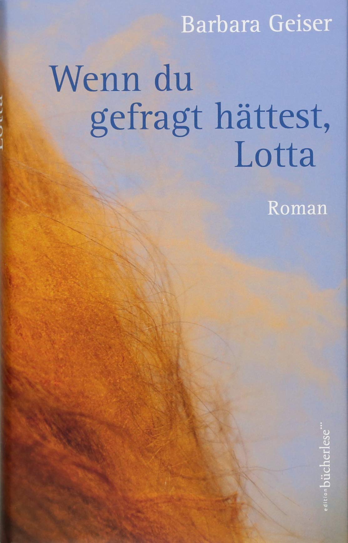 Wenn du gefragt hättest, Lotta Personalities