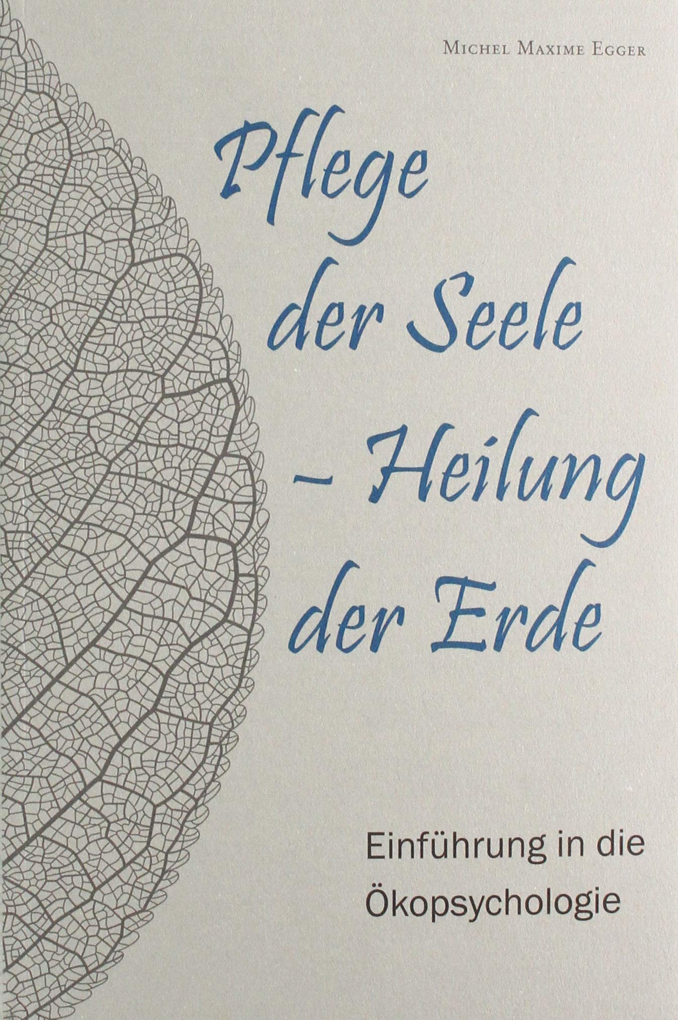 Pflege der Seele – Heilung der Erde: Einführung in die Ökopsychologie Social Sciences