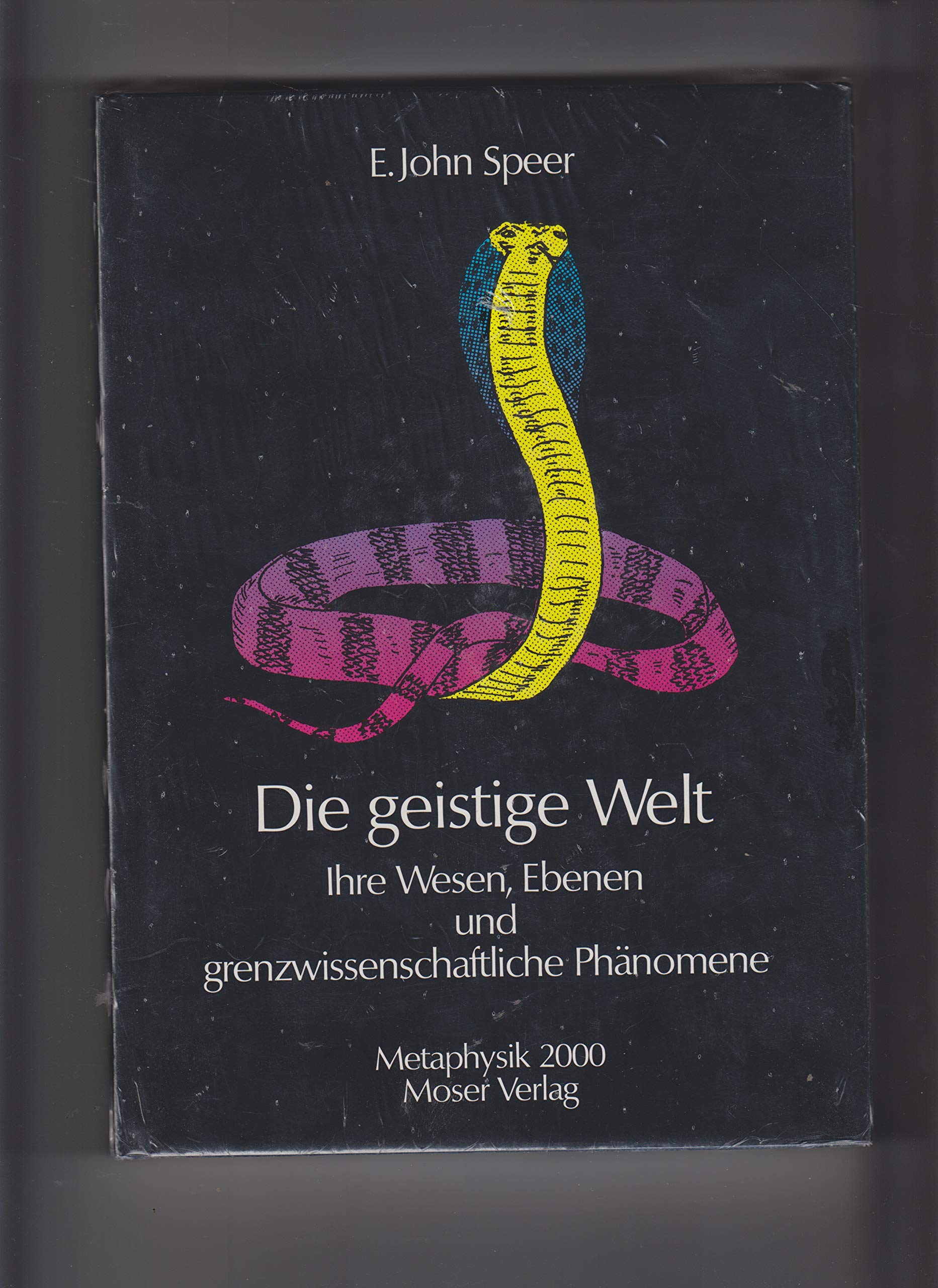 Die geistige Welt. Ihre Wesen, Ebenen und grenzwissenschaftliche Phänomene (Livre en allemand) book