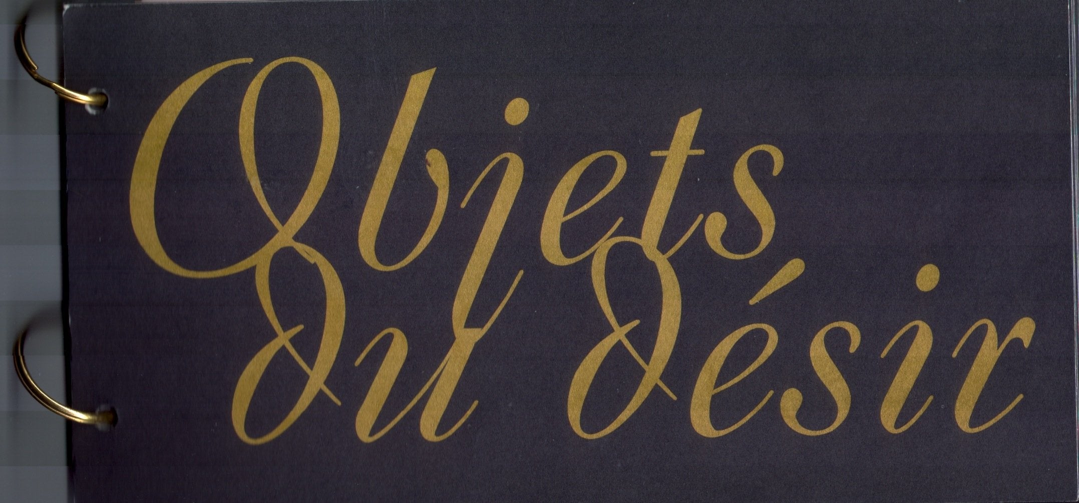 Objets du désir: Produkte zum Lieben und brauchen Books
