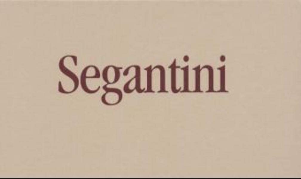 Segantini. Bildband: Bildband zum 100. Todestag von Giovanni Segantini Art & Literature