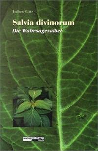 Salvia Divinorum - Der Wahrsagesalbei Law