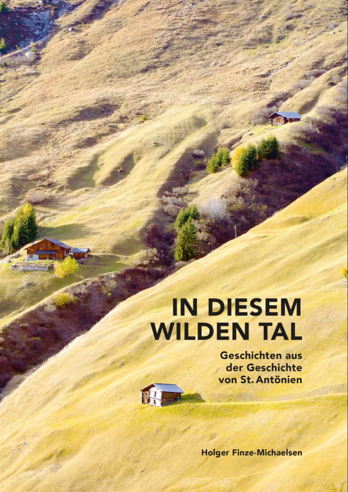 In diesem wilden Tal: Geschichten aus der Geschichte von St. Antönien Historical Fiction