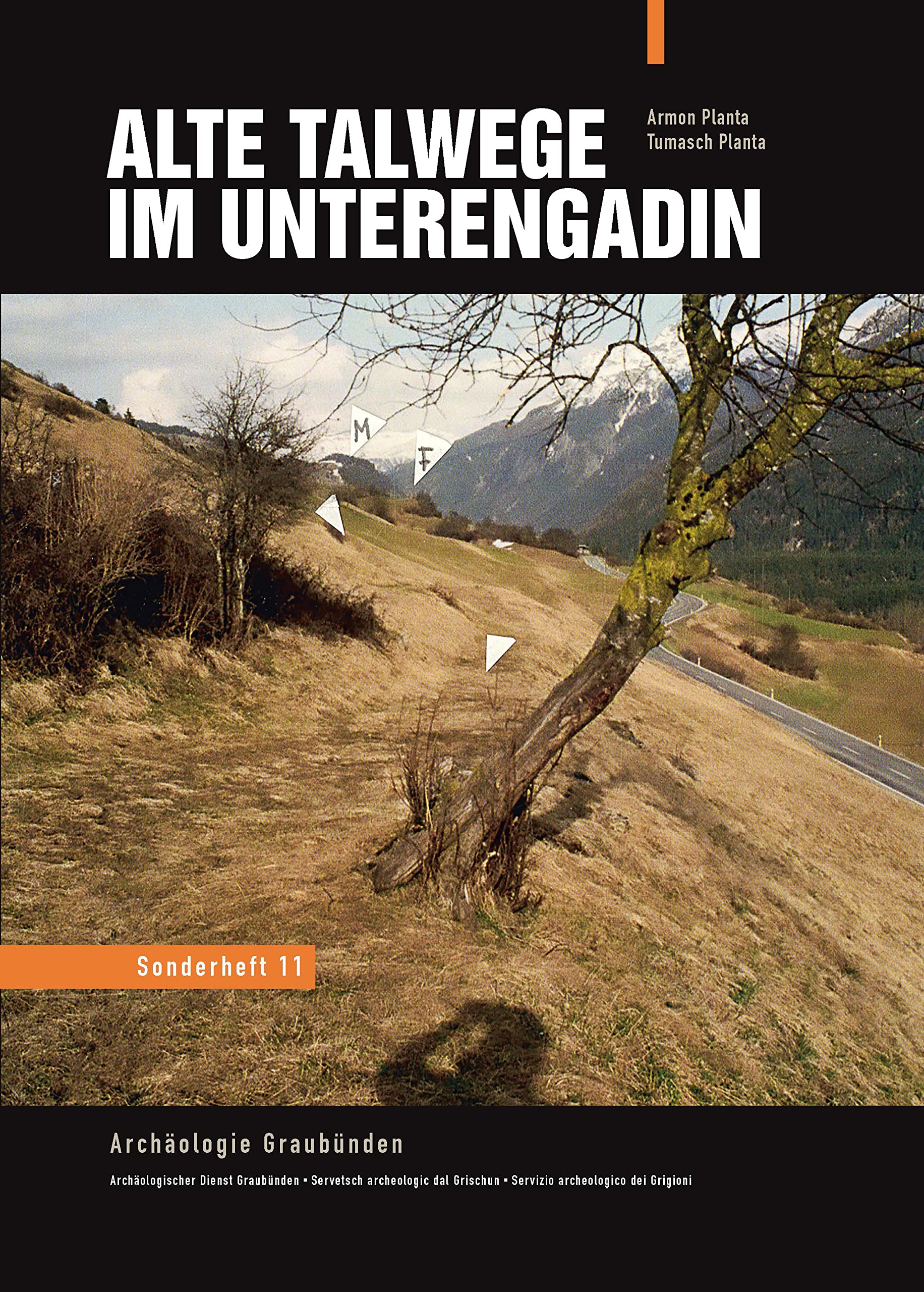 Alte Talwege im Unterengadin Natural Sciences