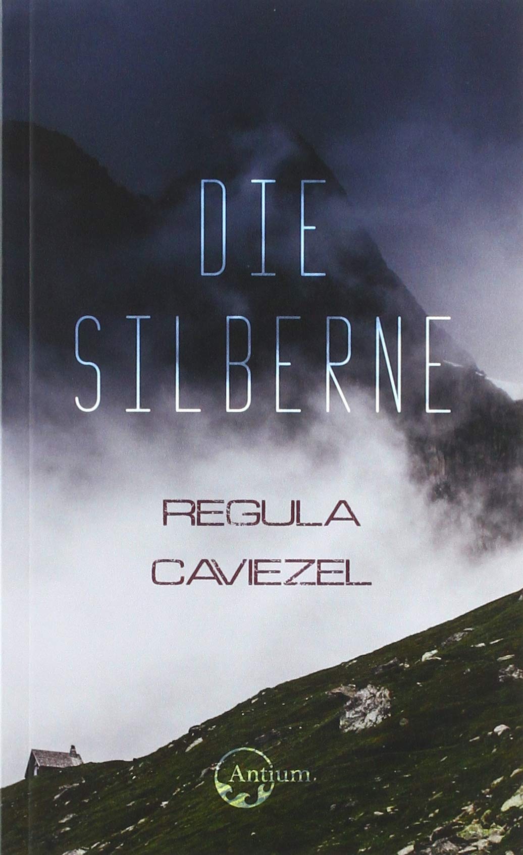 Die Silberne Contemporary literature Books