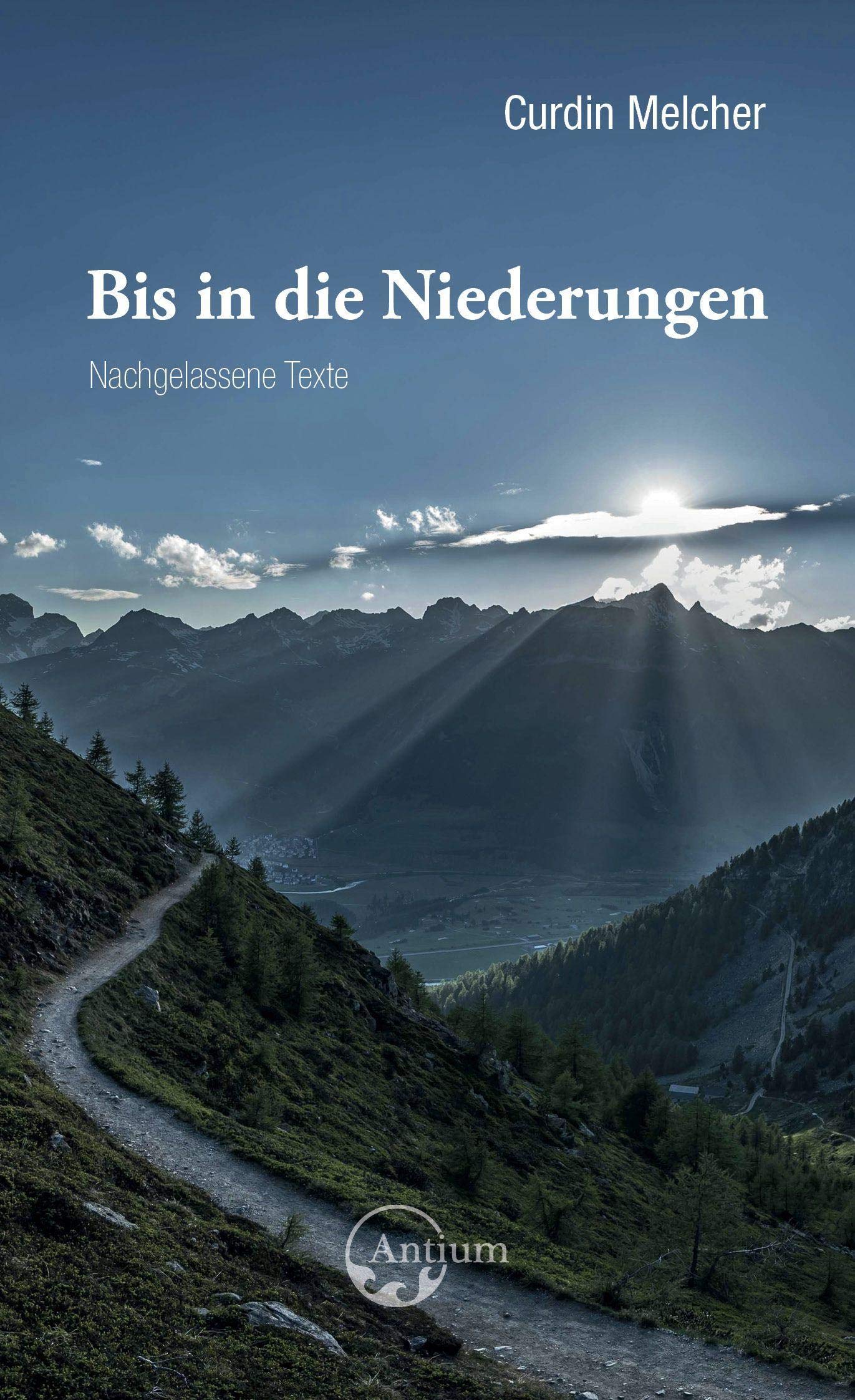 Bis in die Niederungen Contemporary literature