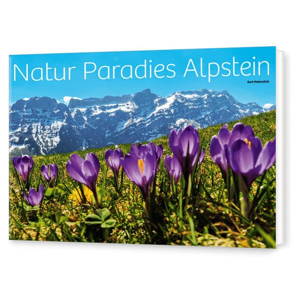 Natur Paradies Alpstein Business & Technology
