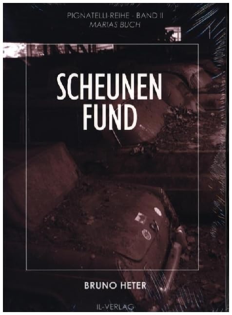 Scheunenfund Contemporary literature
