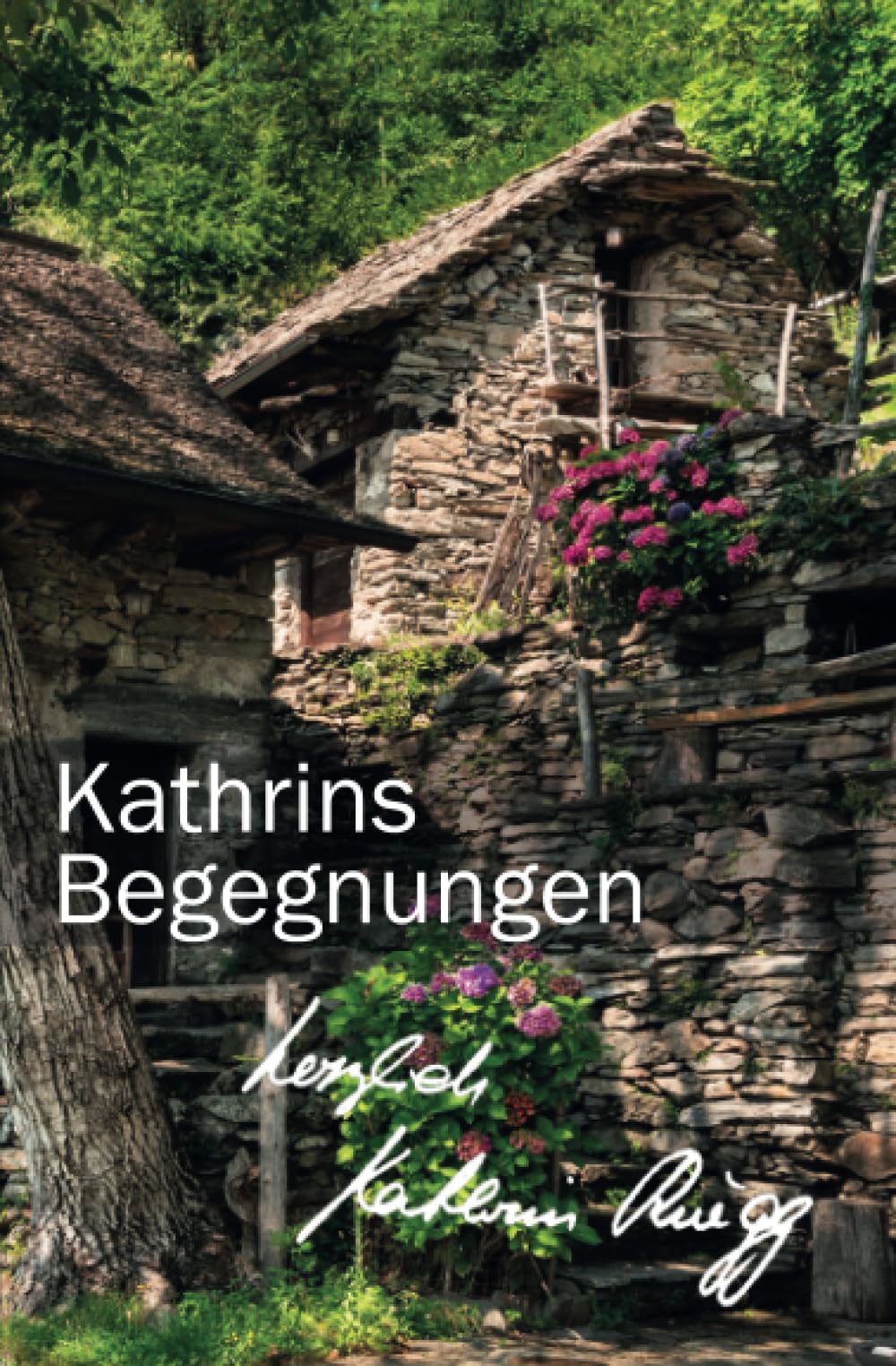 Kathrins Begegnungen: Neuntes Tessiner Tagebuch (Die Tessiner Tagebücher von Kathrin Rüegg, Band 9) Personalities