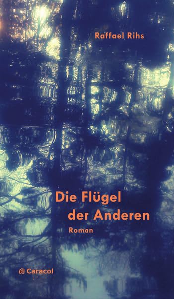 Die Flügel der Anderen: Roman (Caracol Prosa) Contemporary literature