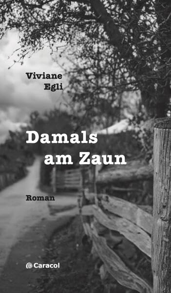 Damals am Zaun: Roman (Caracol Prosa) Contemporary literature