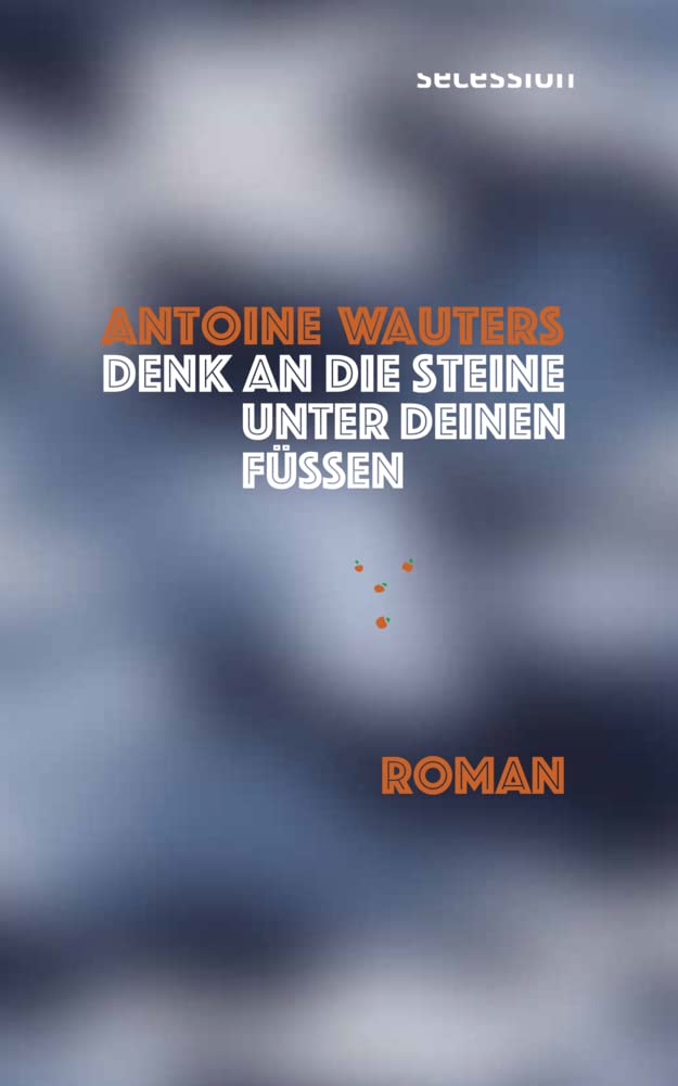 Denk an die Steine unter Deinen Füssen: Roman Contemporary literature