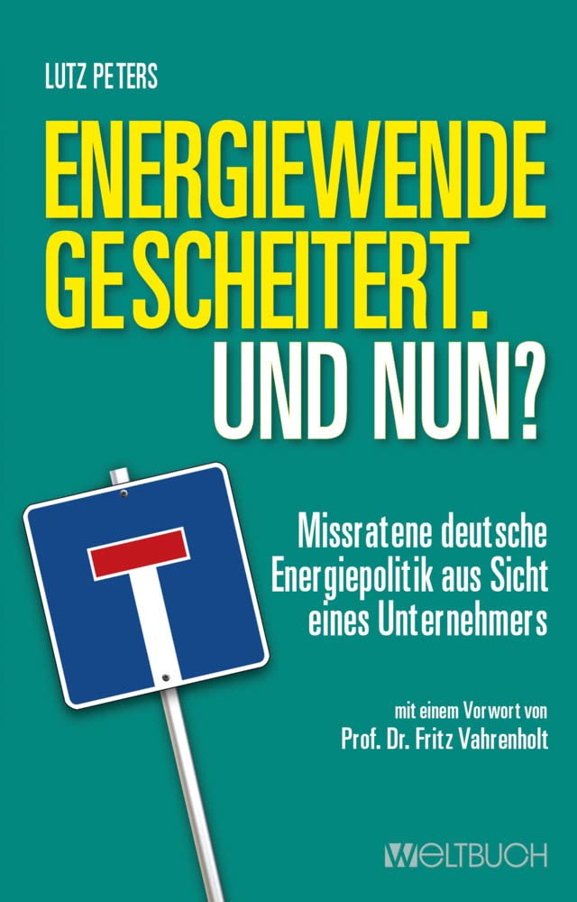 Energiewende gescheitert. Was nun? Business, Finance & Career