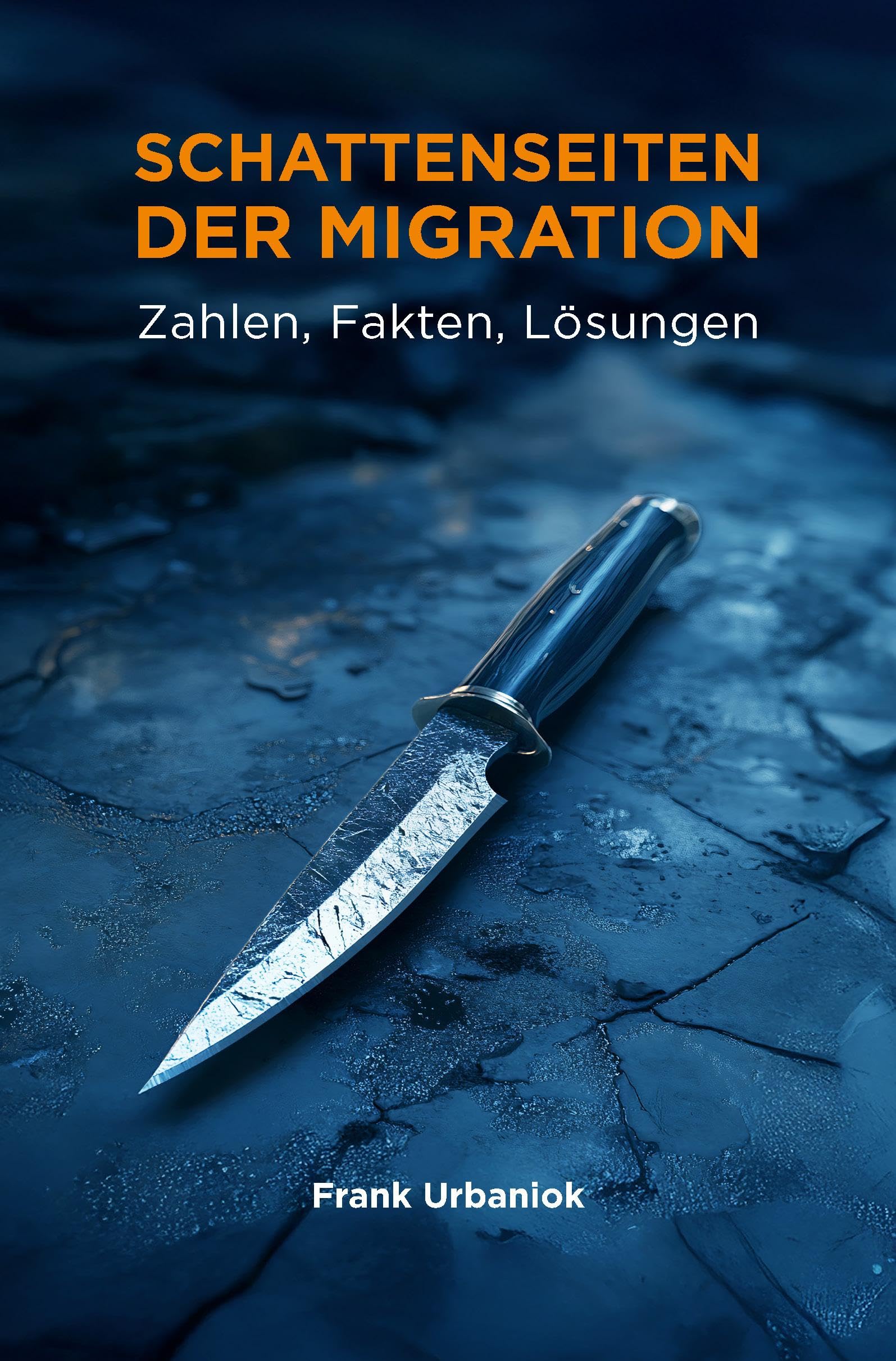 Schattenseiten der Migration: Zahlen, Fakten, Lösungen Social Sciences
